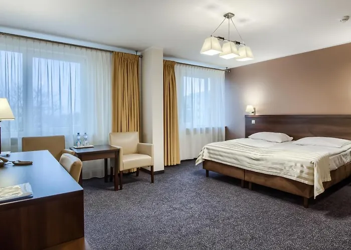 Hotel Konin 3*